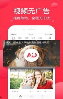 娱乐吃瓜酱奶茶视频下载,揭秘网红奶茶制作全过程 第3张 娱乐吃瓜酱奶茶视频下载,揭秘网红奶茶制作全过程 第3张